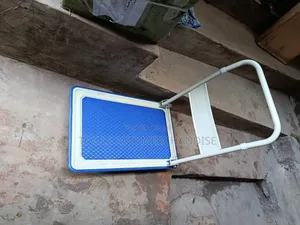 300kg Flat Truck (Iron Platform)