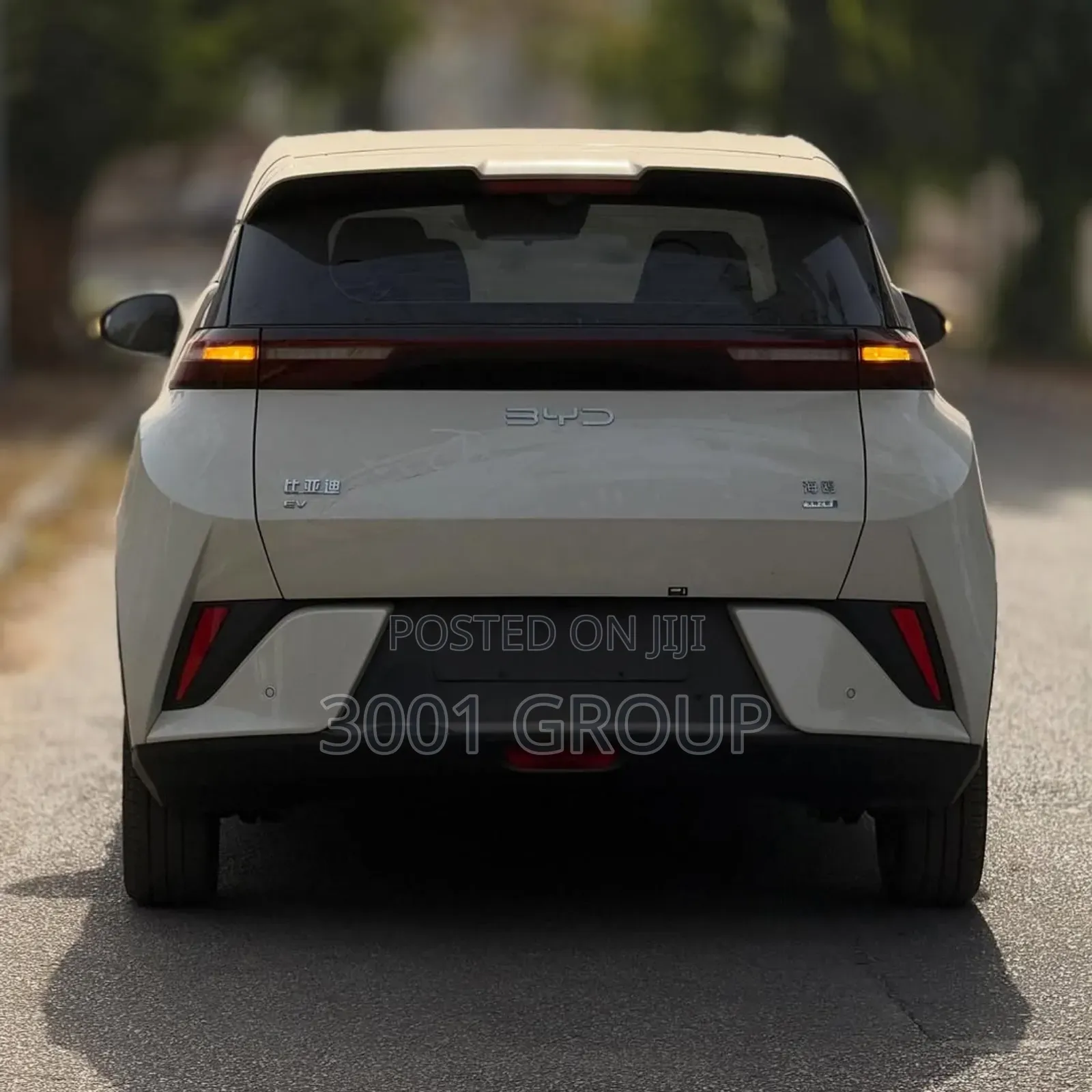 New BYD Seagull 2025 White