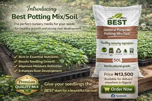 Best Potting Mix/Soil