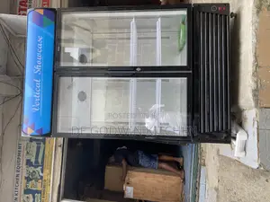 2doors Vertical Display Chiller