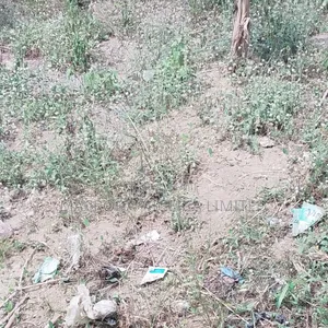 Land Available for Sale at Gbagada