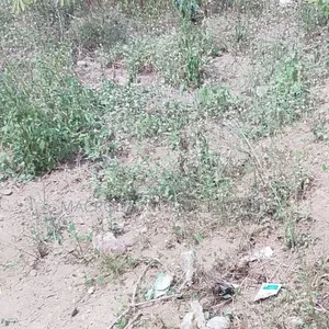 Land With Existing Borehole for Sale