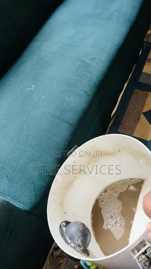 Professional Sofa Cleaning – Lagos