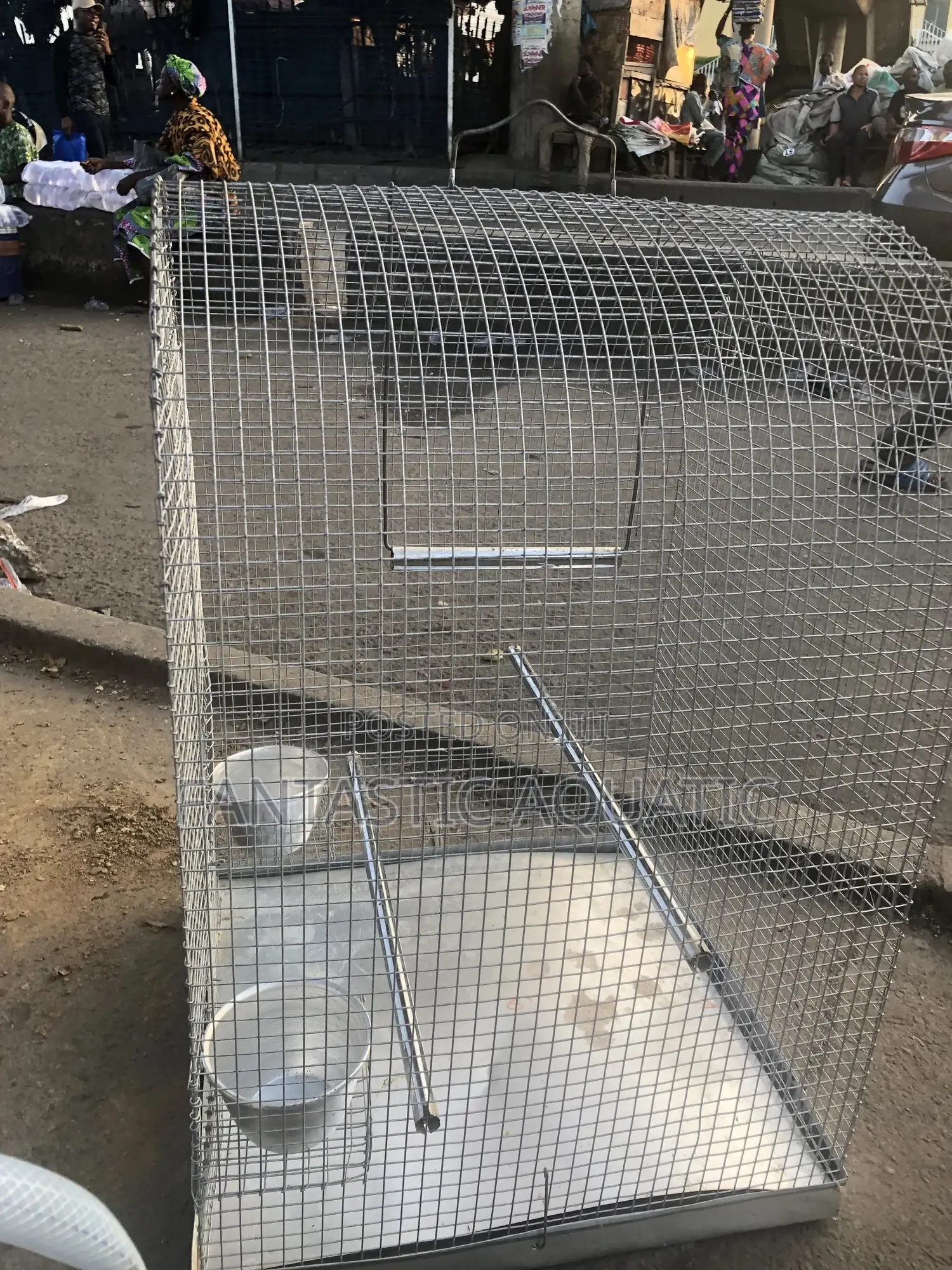 Cage for Birds