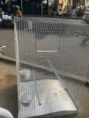 Cage for Birds