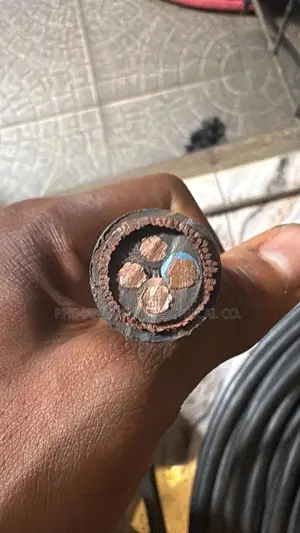 Coleman 6mm 4core Armored Cable Pure Copper Full Gauge