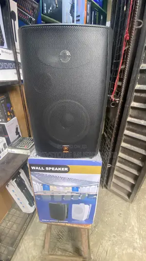 Acoustic Indoor and Outdoor Wall Speakers Ft 208b
