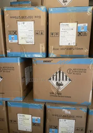 L1.25kwh-12v Cworth Solar Lithium Battery. Best Distributor Importer