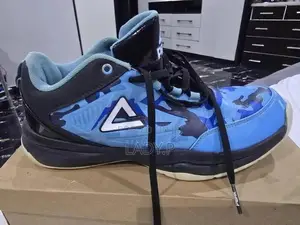 Peak Professional Athletic Shoes - Blue Camo (Excellent Condition)
