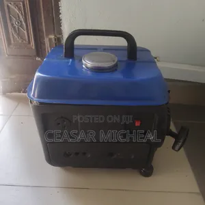 Clean and Working Small Tiger Generator