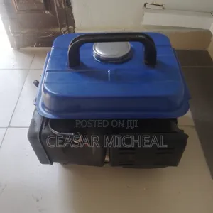 Clean and Working Small Tiger Generator