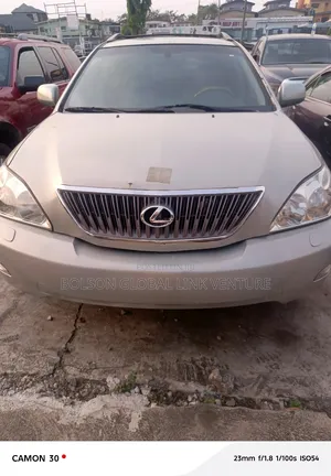 Lexus RX 350 2008 Silver
