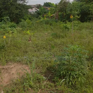 A Plot of Corner Piece Dry Land