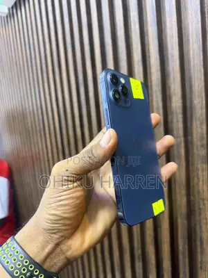 Apple iPhone 12 Pro Max 256 GB Blue