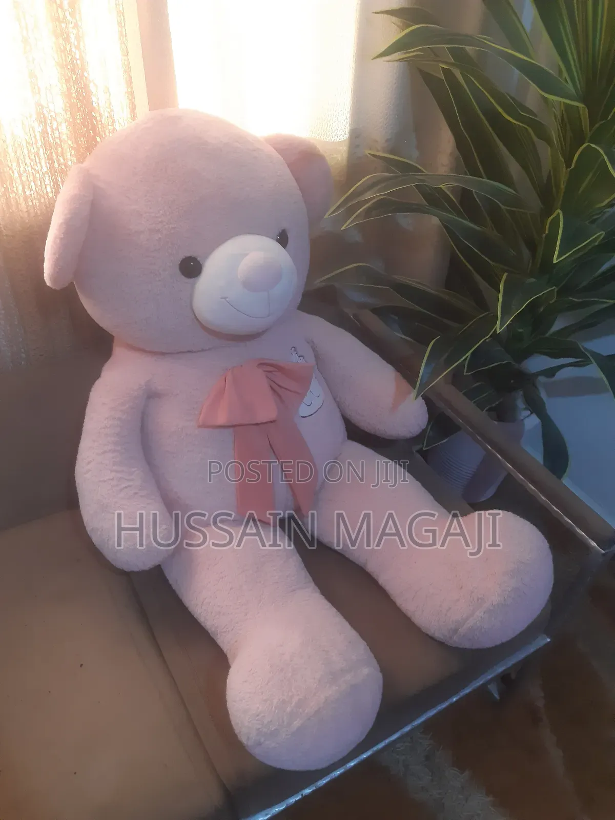 Big Teddy Bear