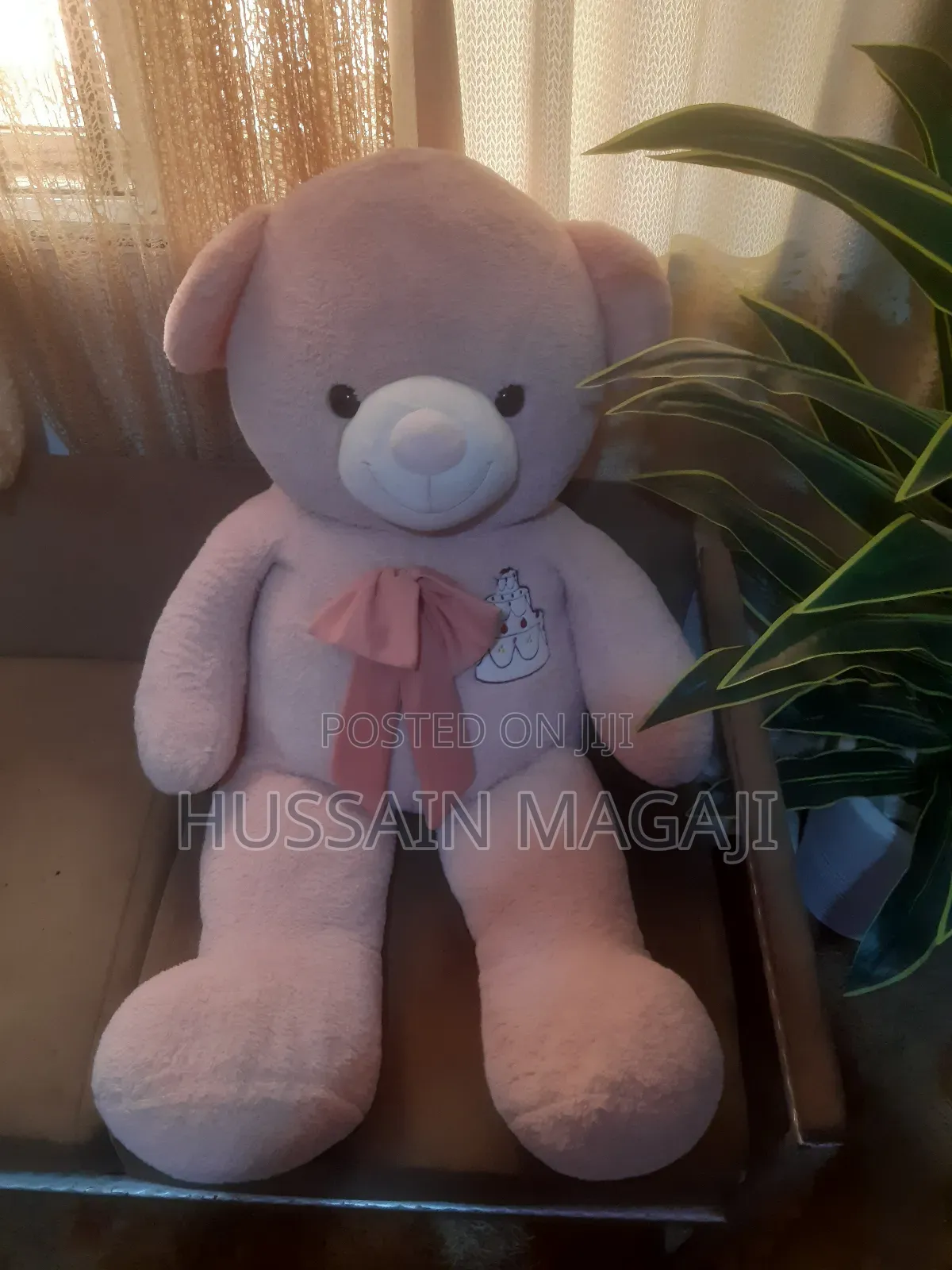Big Teddy Bear