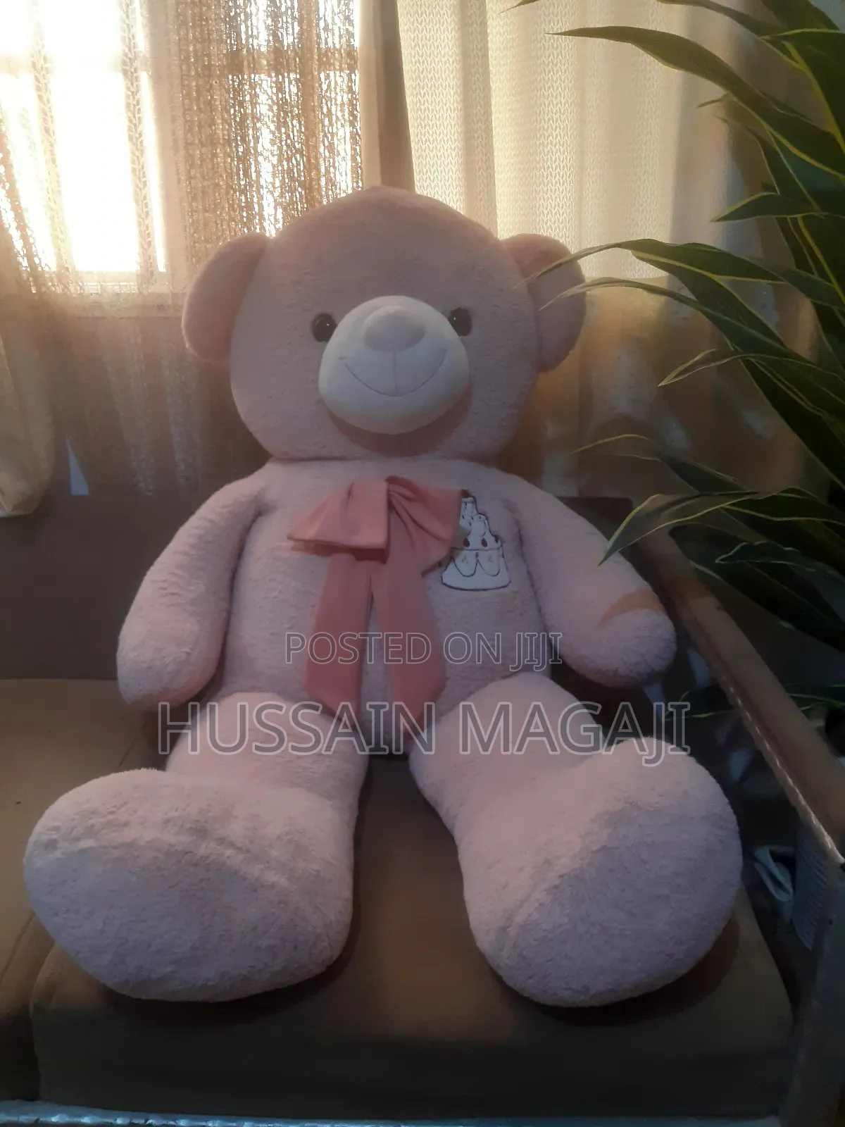 Big Teddy Bear