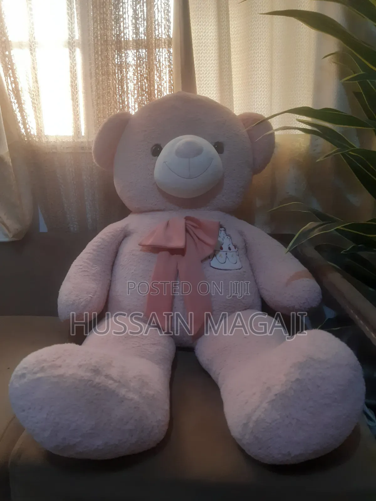 Big Teddy Bear