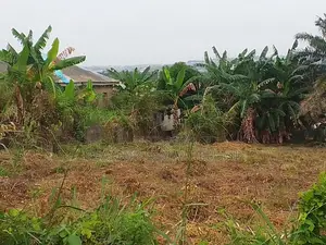 Plot of Lands Available for Sale at Mosafejo Along Sango Road