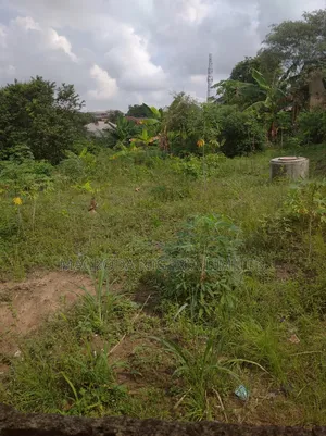 4 Plots Selling Together in an Estate at Iju Road