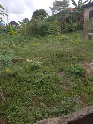Land for Sale in Apapa