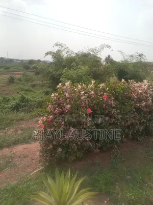 6 Plots of Land at Adesida Road