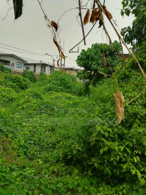 Harris Drive, Vgc: 15,000 SQM Land for Sale
