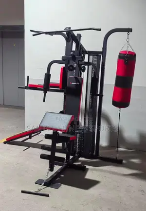 3 Station Gym With Multiple Functions