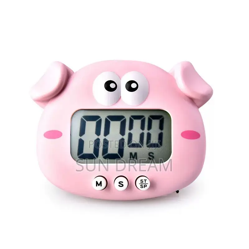 Electronic Timer Small Timer Seconds Clock