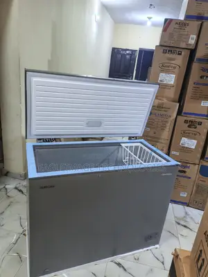 Efficient Compressor: Aeon Acf250gk Freezer