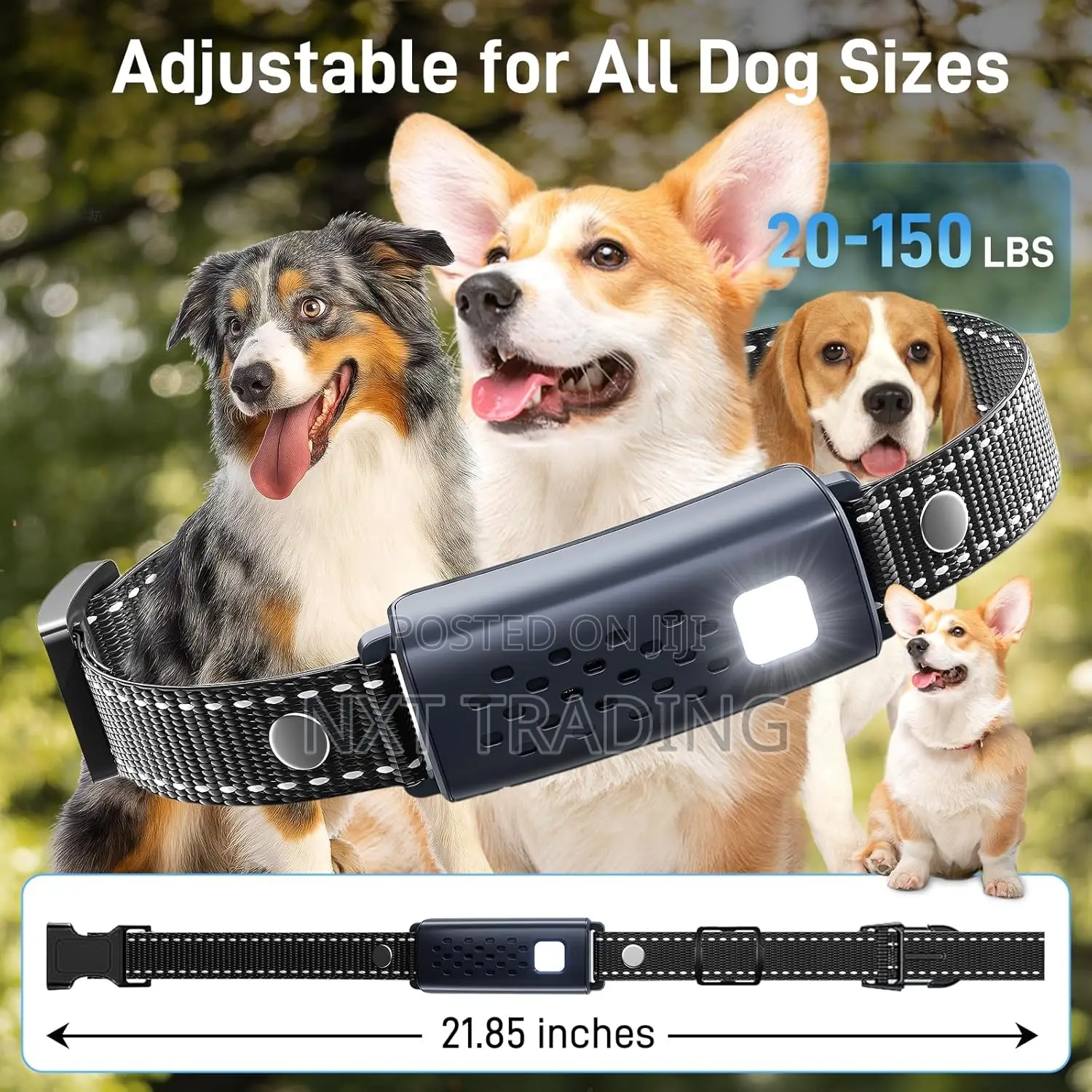 Dog Training Collar With Remote
