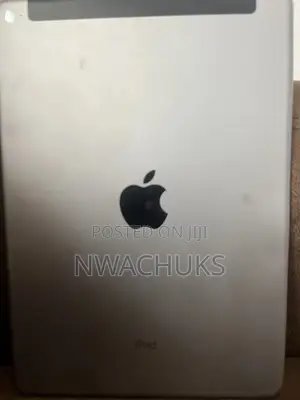 Apple iPad Air 16 GB Silver