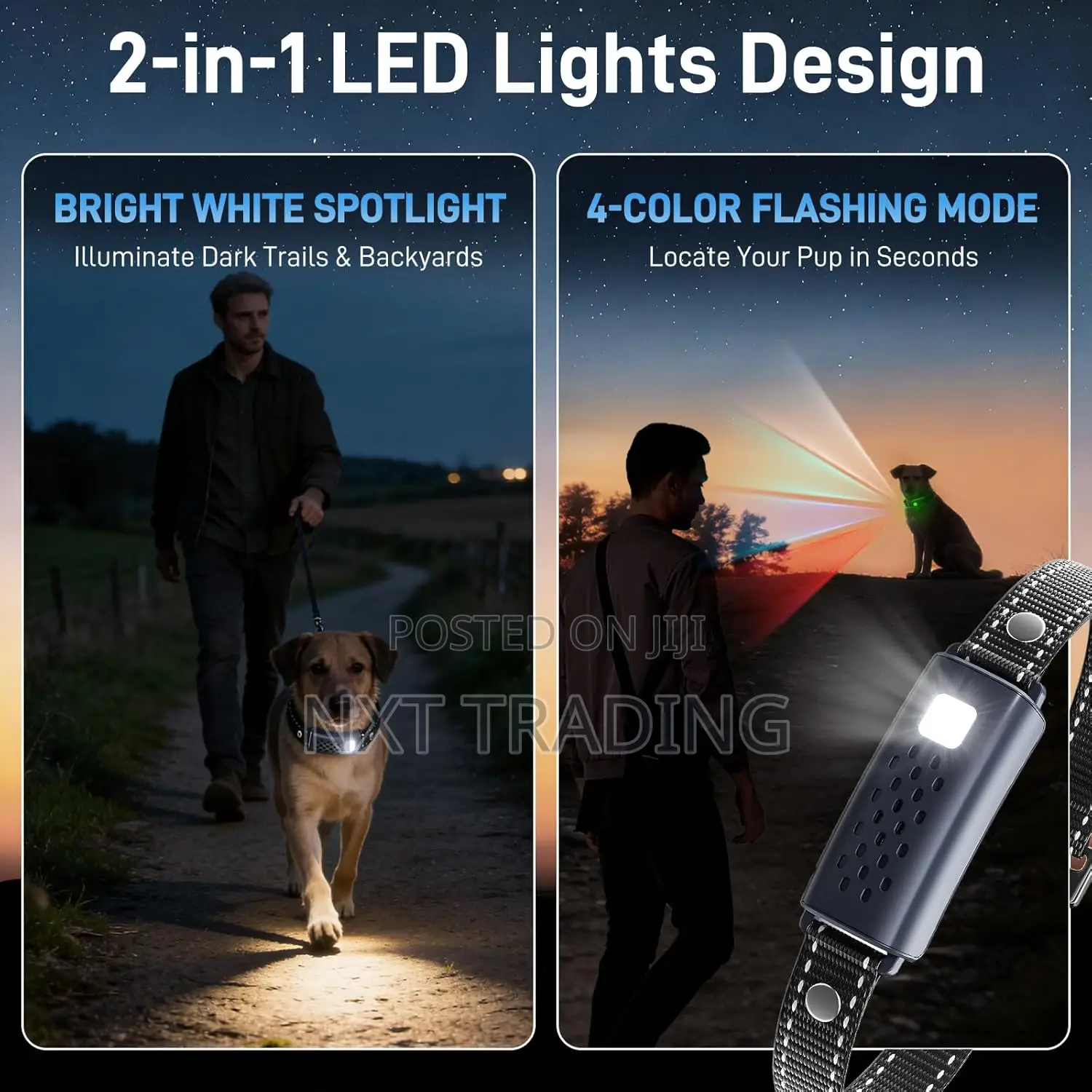 Dog Training Collar With Remote