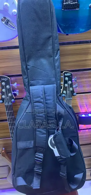 Semi- Acoustic Padded Bag