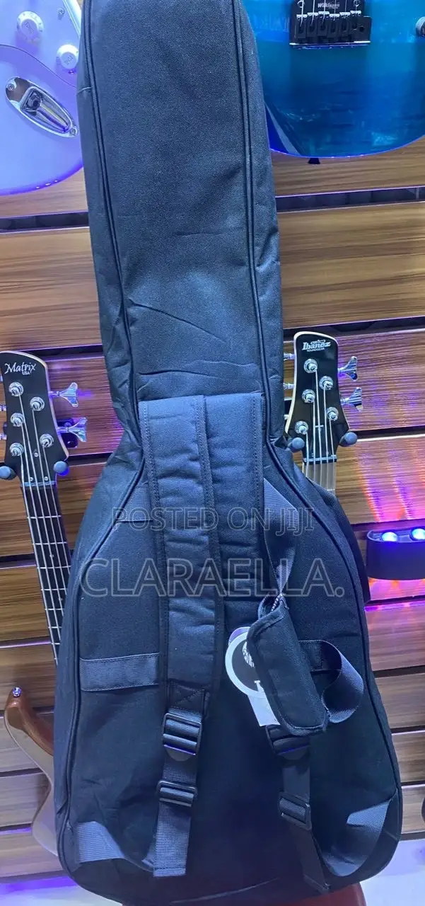 Semi- Acoustic Padded Bag