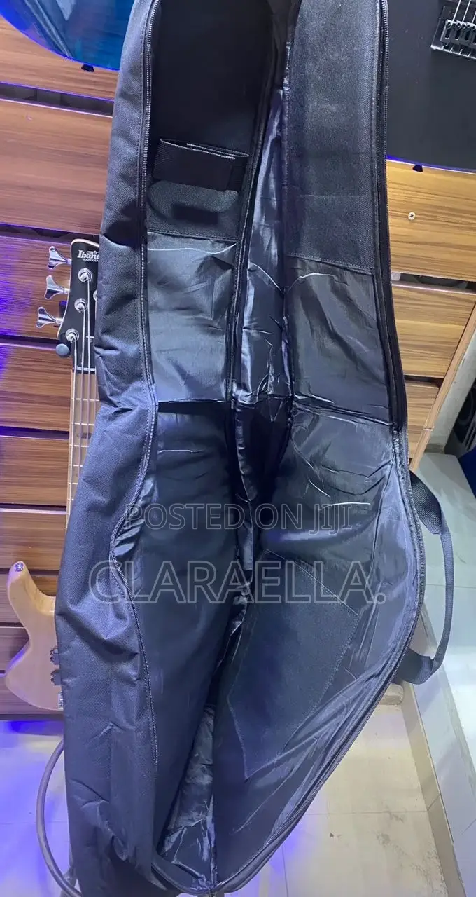 Semi- Acoustic Padded Bag