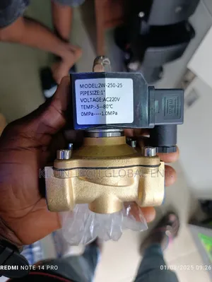 Original Solenoid Valve Voltage 220v