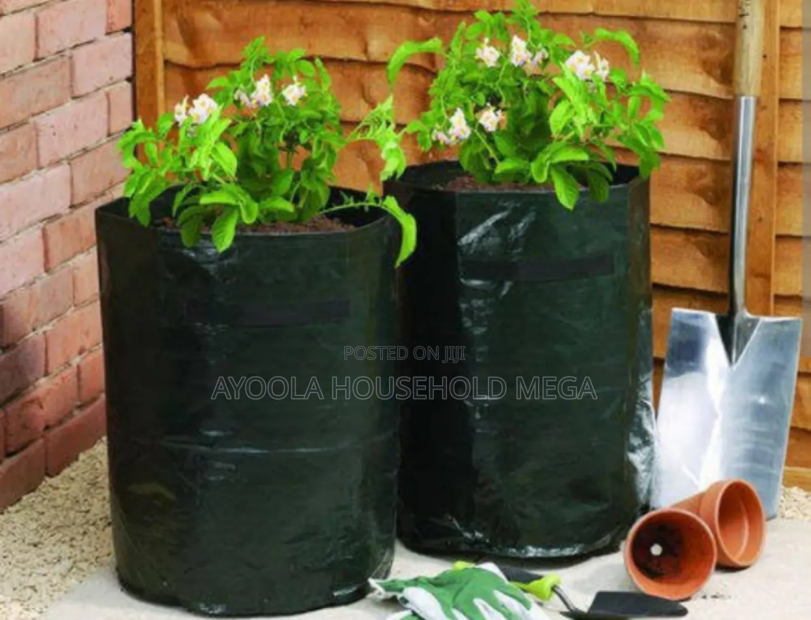Ayooola Nursery Nylon And Growing Bags
