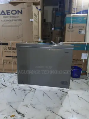 Aeon Acf250gk High Quality Storage Freezer