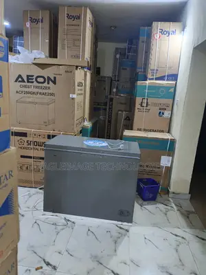 Aeon Acf250gk Commercial Chest Freezer
