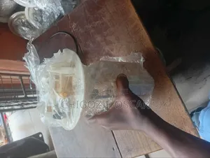 Fuel Pump for Ml166 2012