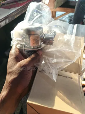 Gdi Fuel Pressure Pump for 4 Cylinder Hyundai and Kia