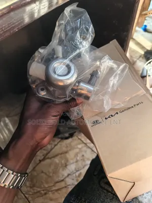 Gdi Fuel Pressure Pump for 4 Cylinder Hyundai and Kia