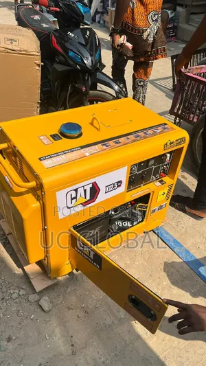 12kva Cat Soundproof Gen