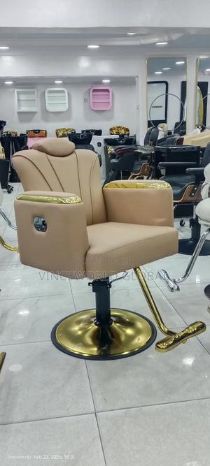 Beautiful Brown Salon Chair