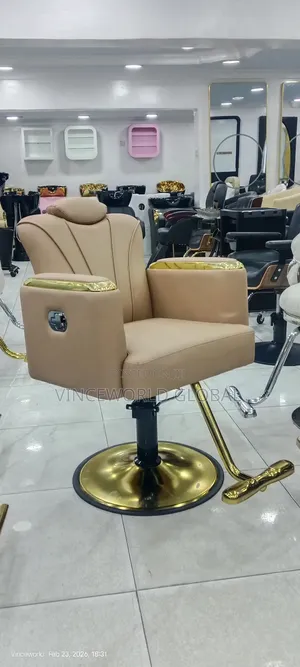 Beautiful Brown Salon Chair