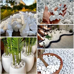High Quality Decorative White Stones Bulk Supply Available 