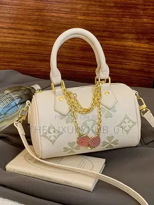Loius Vuitton Boston Luxury Bag