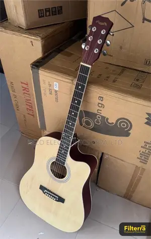 Semi Acoustic Guitar