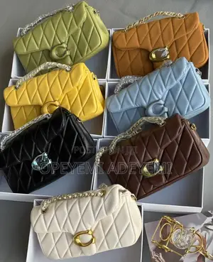 Coach Tabby Bag